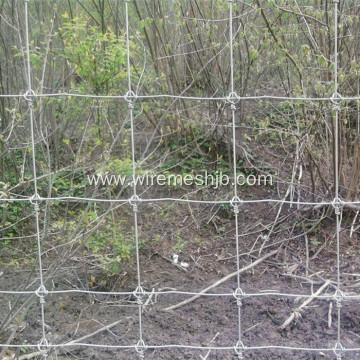 Fixed Knot Woven Wire Field Fence